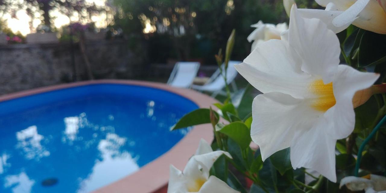 Villa Drina Ischia Eksteriør bilde